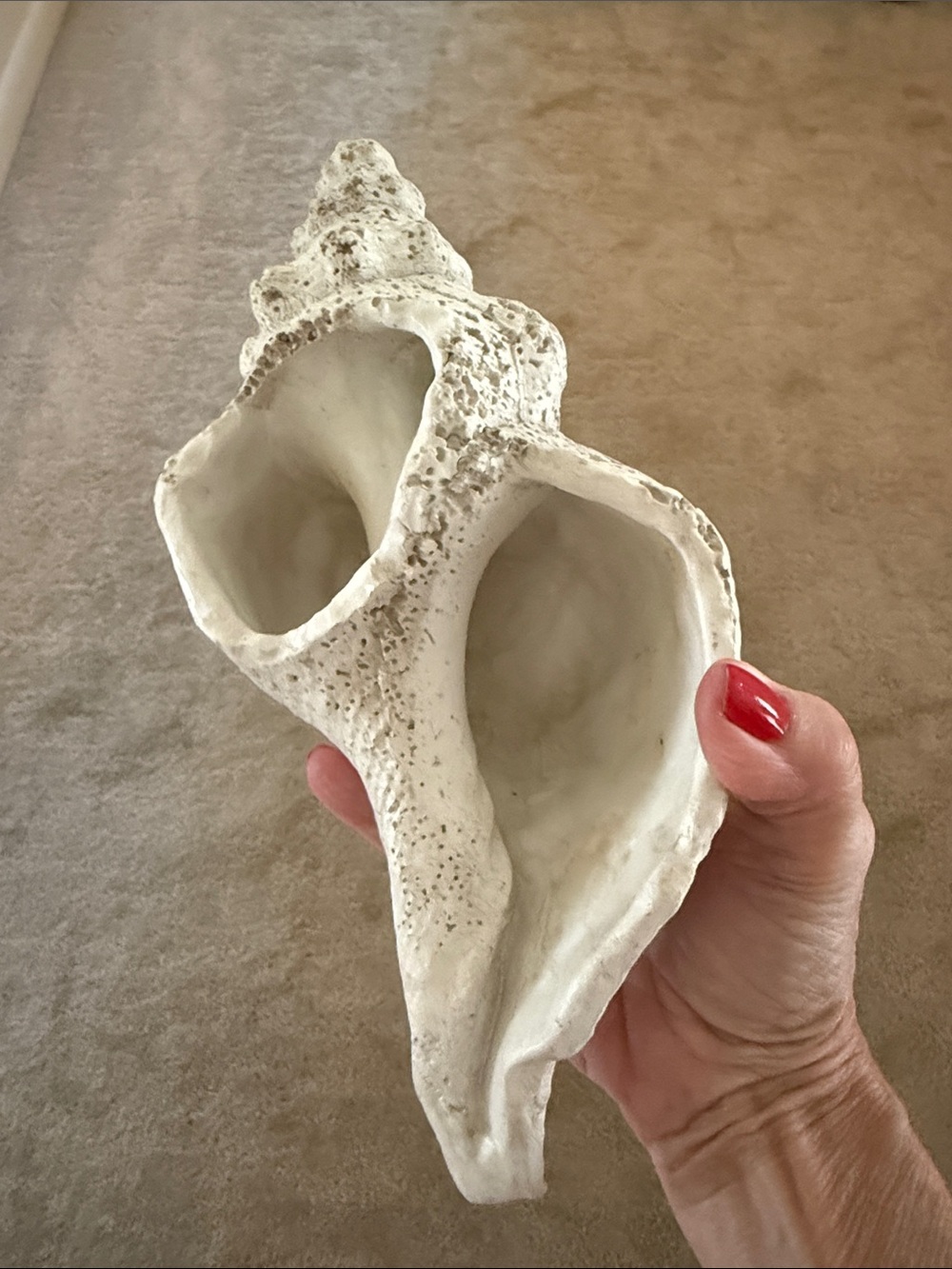 Conch Shell Resin - Picture 5 of 6